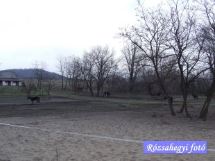 Esztergom Démusz kúria helyén Esztergom Démusz kúria helyén