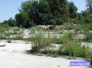 Környe/Erdőtagyospuszta Posztoczky kúria helye Környe/Erdőtagyospuszta Posztoczky kúria helye