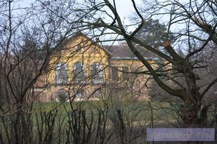 XII.ker. Flóra villa XII.ker. Flóra villa