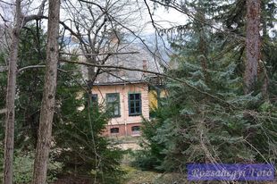 II.ker. Vúk Tőry villa II.ker. Vúk Tőry villa
