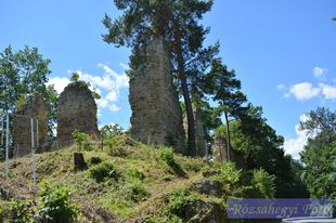 Roznów