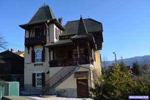Bled villa Bled villa