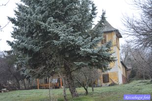 Révfülöp Isó Vince villa Révfülöp Isó Vince villa